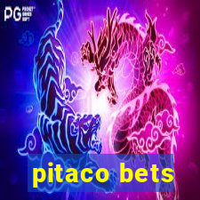 pitaco bets